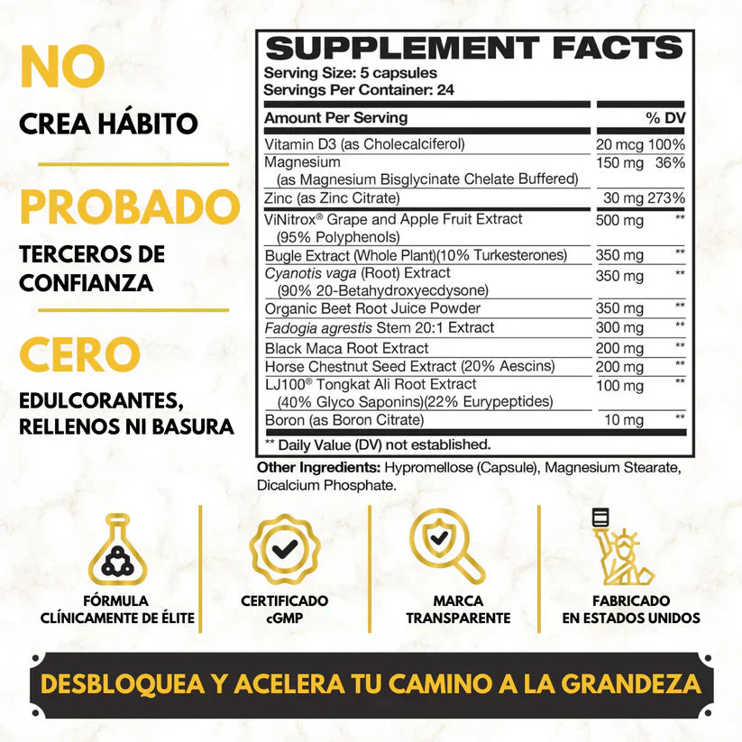 KING MAKER - POTENCIA TU CUERPO AL MAXIMO!